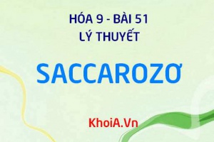 Saccarozơ tính chất vật lý, tính chất hóa học và ứng dụng của Saccarozơ - Lý thuyết Hóa 9 bài 51